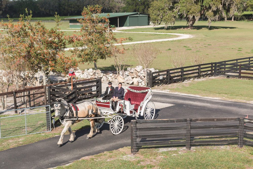 Horse drawn carriage picks up bride for her country chic wedding day at a barn in Central Florida captured by top Orlando photography team