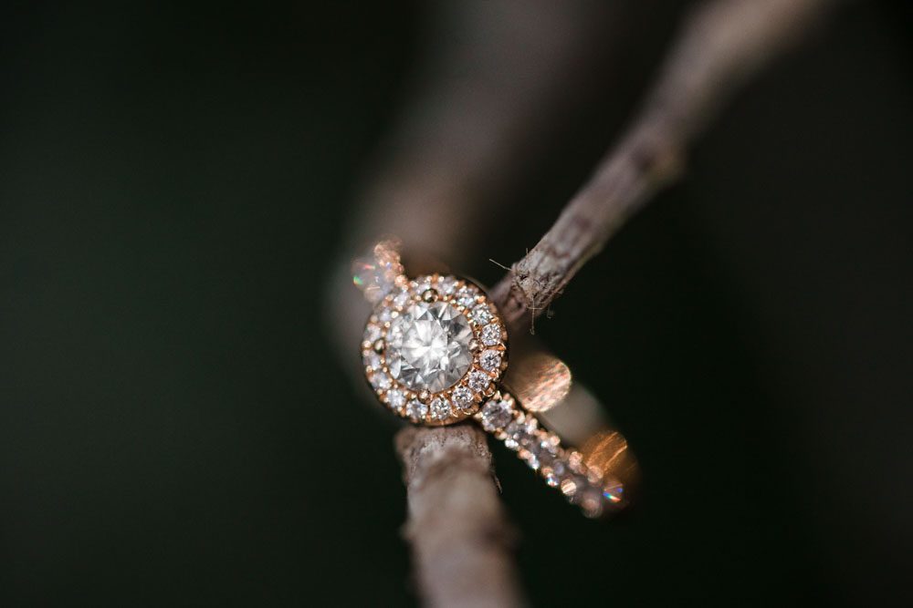Close up of a gold round halo engagement ring on a tree branch during Orlando photography session