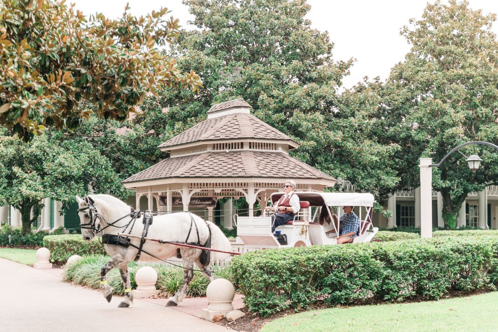 Surprise proposal photography in Orlando featuring a horse and carriage at the gazebo at a Disney resort
